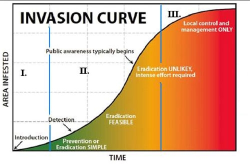 EDRR invasion graph v2